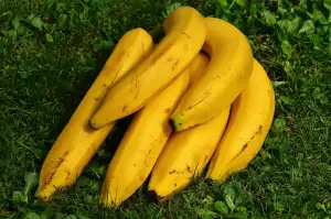 Ripe Banana Recipes