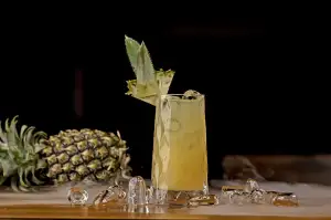 Non Alcoholic Cocktails